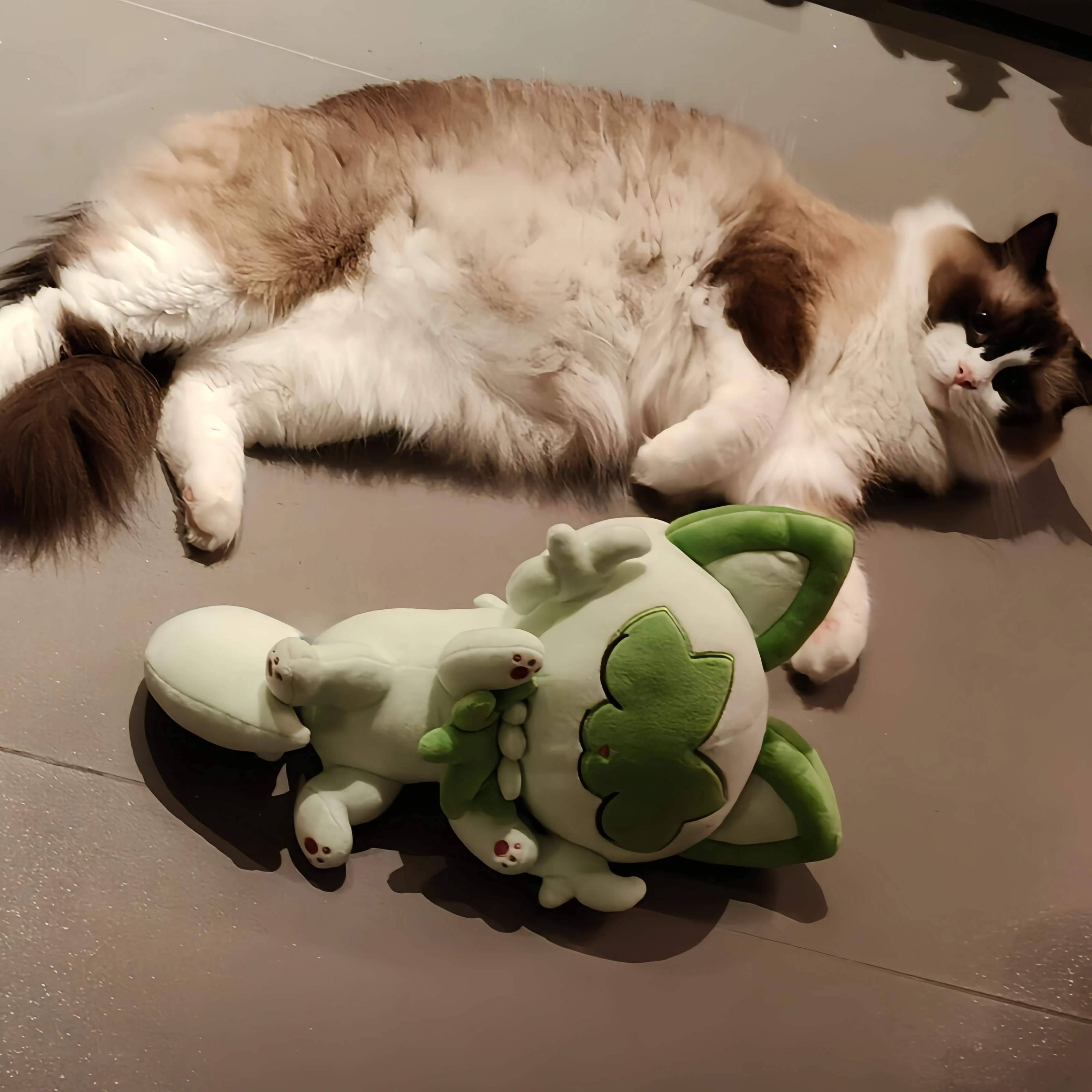 Peluche de Gato Sprigatito de Gran Tamaño, Peluches de Anime Sprigatito, Animales de Peluche de Películas y Videojuegos, Juguetes Suaves Fnaf y Aficiones, Gato de Peluche para Niños