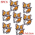 PE6619CT