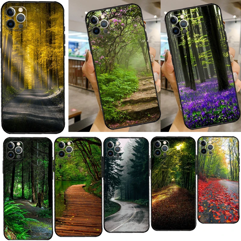 Beautiful Nature Fo… - image
