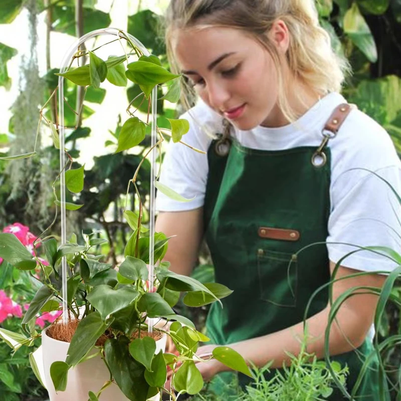 2/5 قطعة إطار تسلق نبات أكريليك على شكل حرف U شفاف متين داخلي أصيص زهور الكرمة دعم الهيكل للبستنة #3