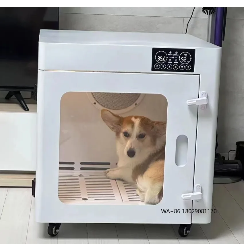 

Заводская продажа Сушилка для домашних животных Сушилка для собак для ухода за домашними животными Высокоскоростная сушилка для собак для бизнеса или зоомагазина