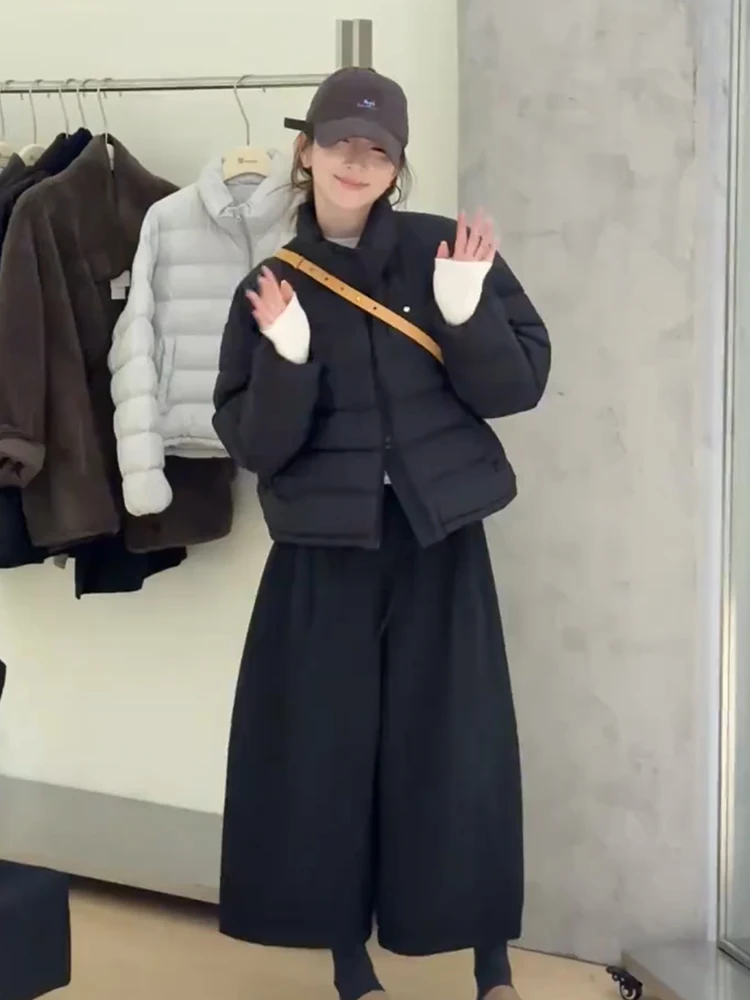 

Женская повседневная универсальная куртка в корейском стиле с воротником-стойкой, двойной молнией, ребристой отделкой и наполнителем из белого утиного пуха. Модная верхняя одежда.