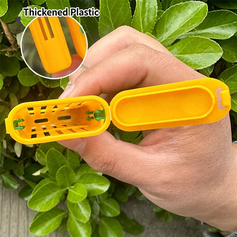 5/10Pcs Queen Bee Rearing Cage Plastics Bee Transport Grid Box Breeding Beekeeper Supplies Bee Queens Shipping Box Insect Cup image 3