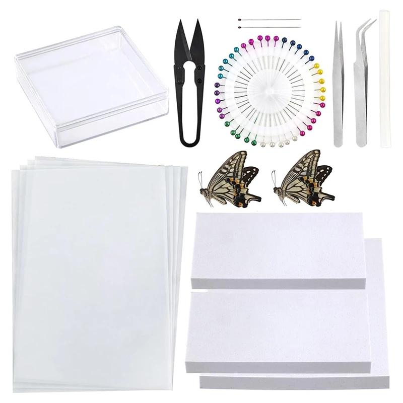 

Insect Specimenmaking Tool Kit, Suitable For Insect Lovers' Biology Project Classroom