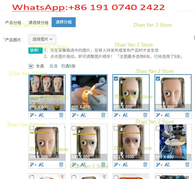 1PCS genuine ophthalmic surgery practice model, human head model, eye fixator pig eye