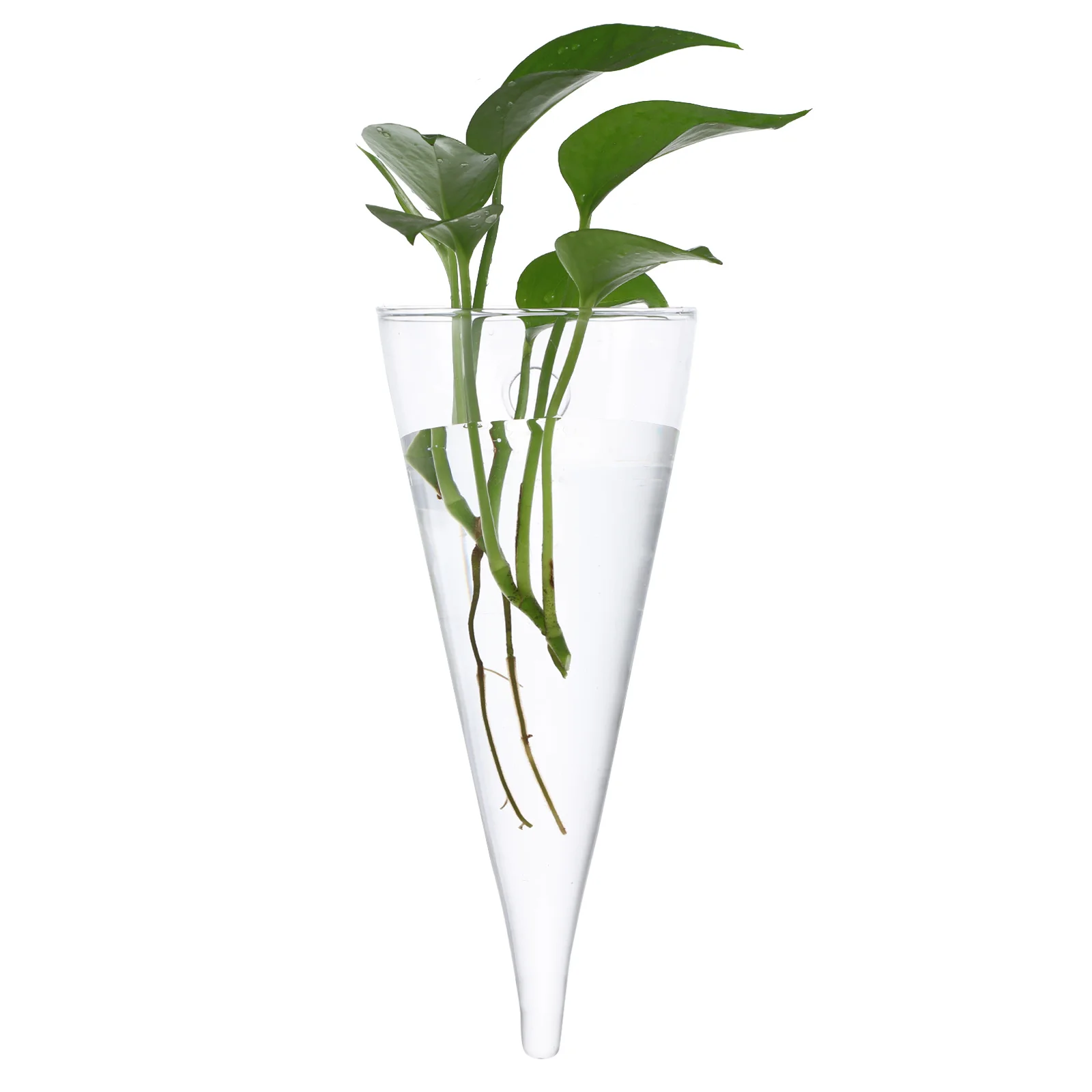 

Circular Transparent Glass Wall Hanging Vase High Borosilicate Glass Decoration for Living Room Office Bedroom