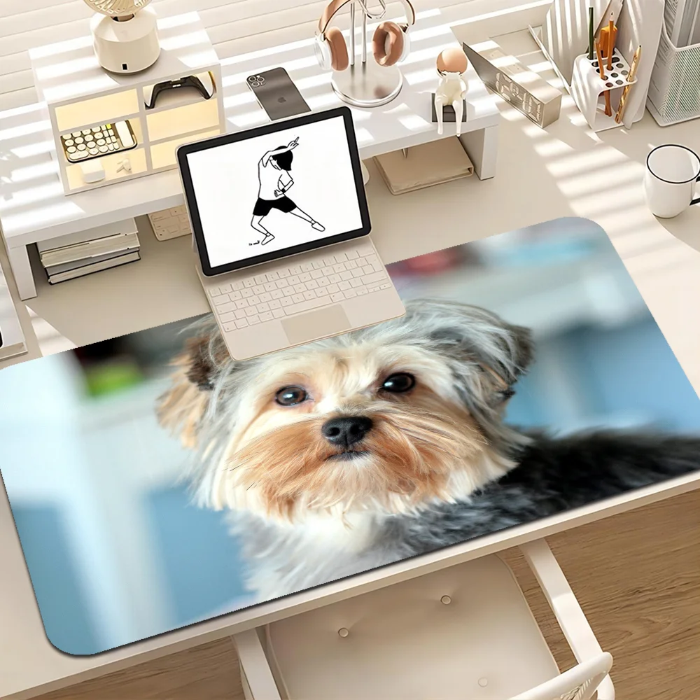 Cute Mini Yorkshire Terrier Girl Pad Unique Desktop Pad Game Mousepad Size For Large Edge Locking Game Keyboard Pad