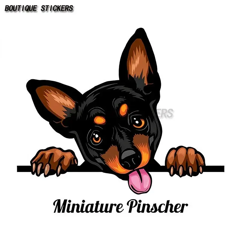 

Pet Dog Pinscher Car Sticker Waterproof PVC Car Decoration Accessories Luggage Case Laptop Cover Scratches