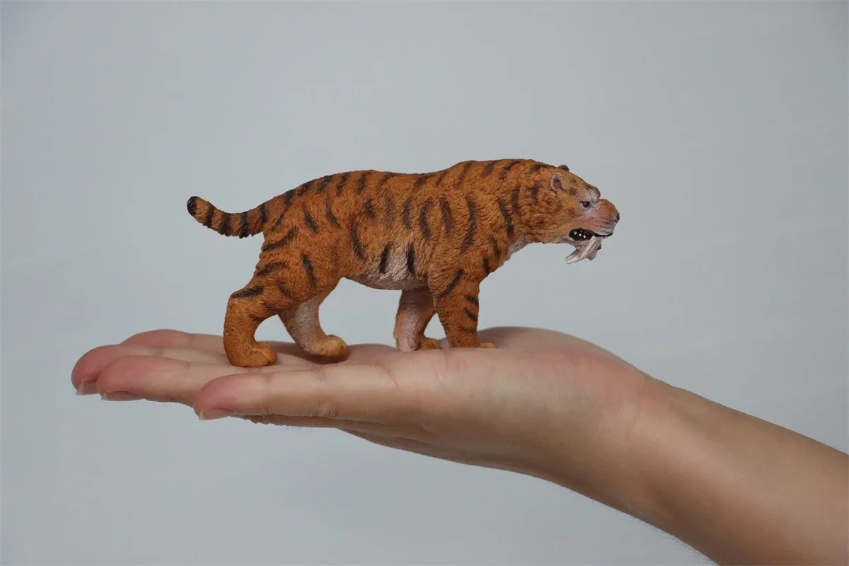 TNG Machairodus Modelo Smilodon Saber-toothed Tiger Animal Figura Realista Adulto Crianças Crianças Presente de Natal Brinquedos Desktop Decor