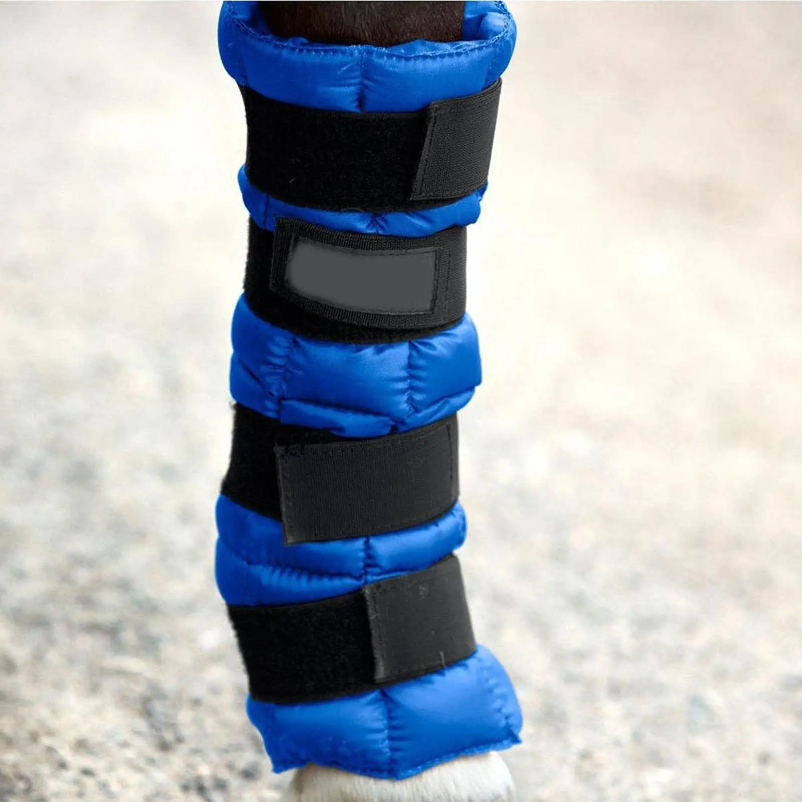 Reusable Horse Ice Leg Wrap Thickened 24 Grid Knee Hooves Protector Horse Accessories for Equestrian Sports