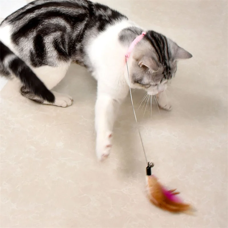 Toys for cats accessories Cat collar toys interactive Self-help feather teaser stick with Bell for Kittens