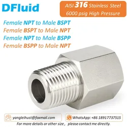 Adaptateur femelle Béventuelles T vers mâle NPT, raccord de tuyau de connecteur, acier inoxydable 1/8, BSP 1/4