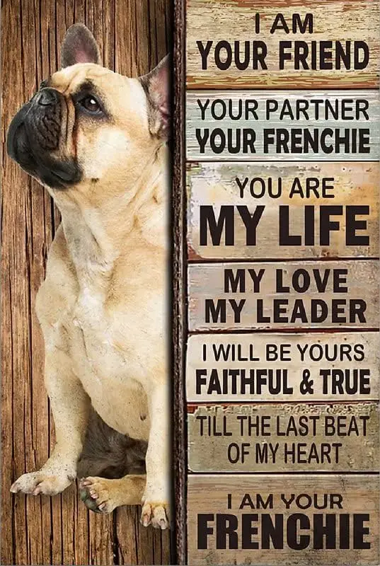 Металлический знак «Я ваш друг», «Я ваш французский», винтажные кухонные знаки, Настенный декор, алюминиевые знаки, подарок для дома, бара, кафе