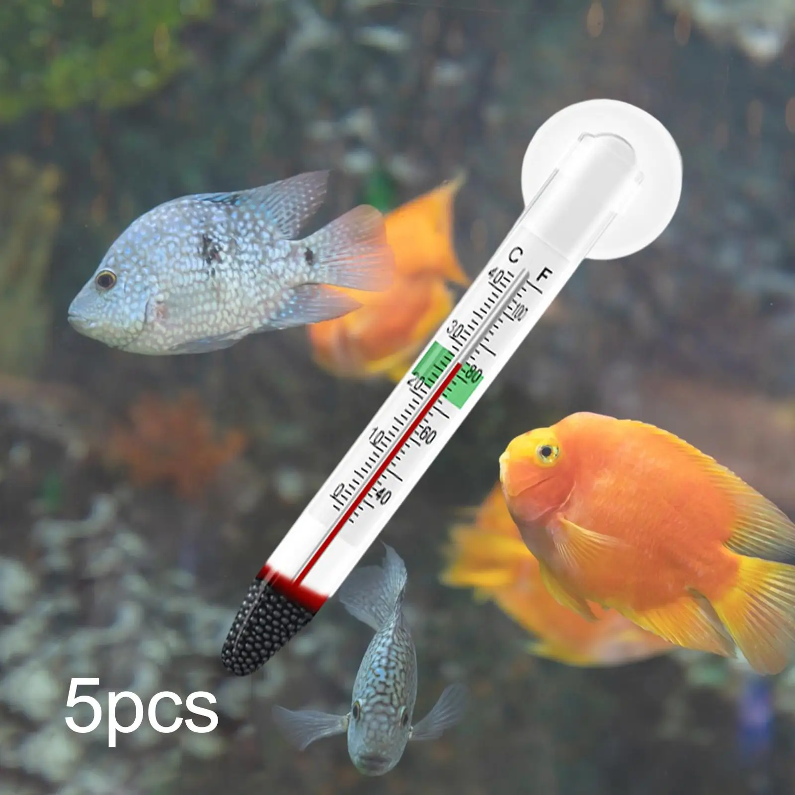 5Pcs Floating Thermometer Glass Tube Double Layered Glass Accessories Measurement Easy Read Accurate Fish Tank Thermometer