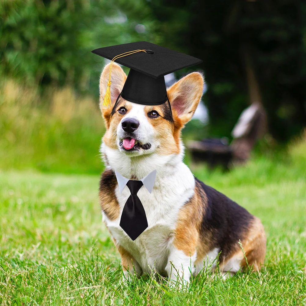 Graduation Outfit for Dog Hats Pet 's Animal Cat Toy Cap Puppy and Gown