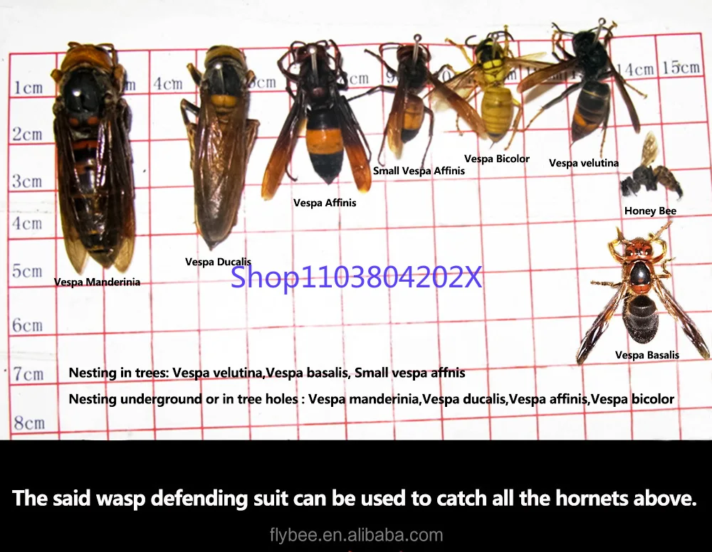 Imagem -05 - Leather Protective Bee Suit Heavy Duty Hornet Clothing Wasp Clothing Apicultura Equipamento de Apicultura Ferramentas 15 Air Holes pu