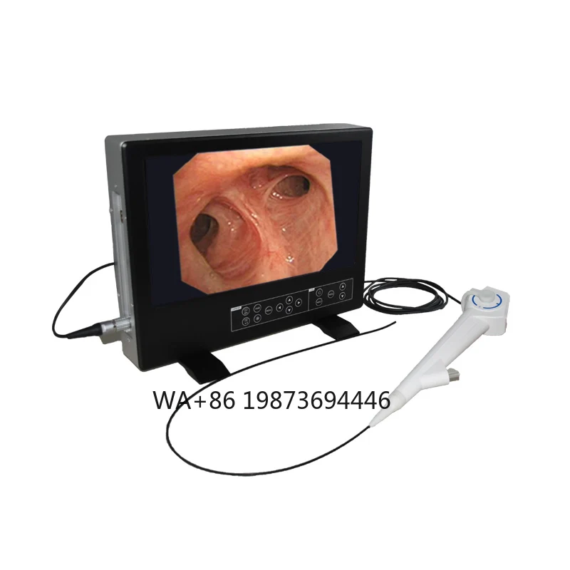 

HD3502 medical Single-use Flexible electronic ureteroscope