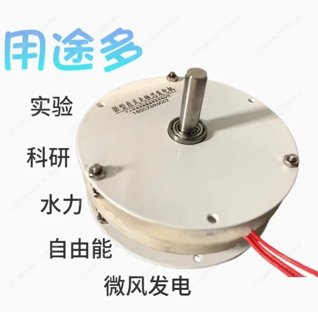 Quality Guarantee 100w Mini Disc Generator Coreless Generator Permanent Magnet Brushless Motor High Efficiency Double Rotor