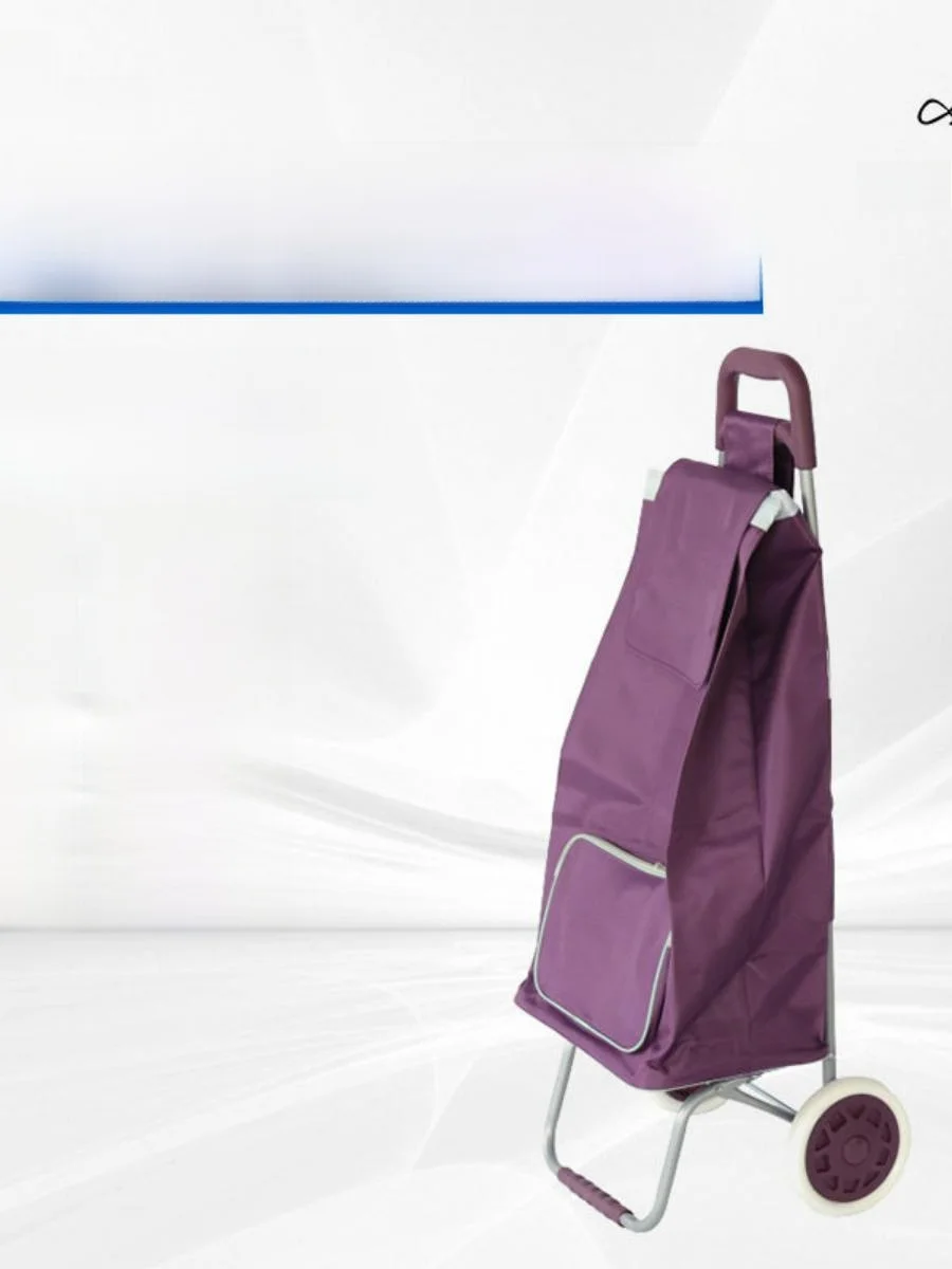 portable-folding-lightweight-shopping-cart-elderly-vegetable-buying-tool-home-use-push-cart-sturdy-two-wheels-market-research
