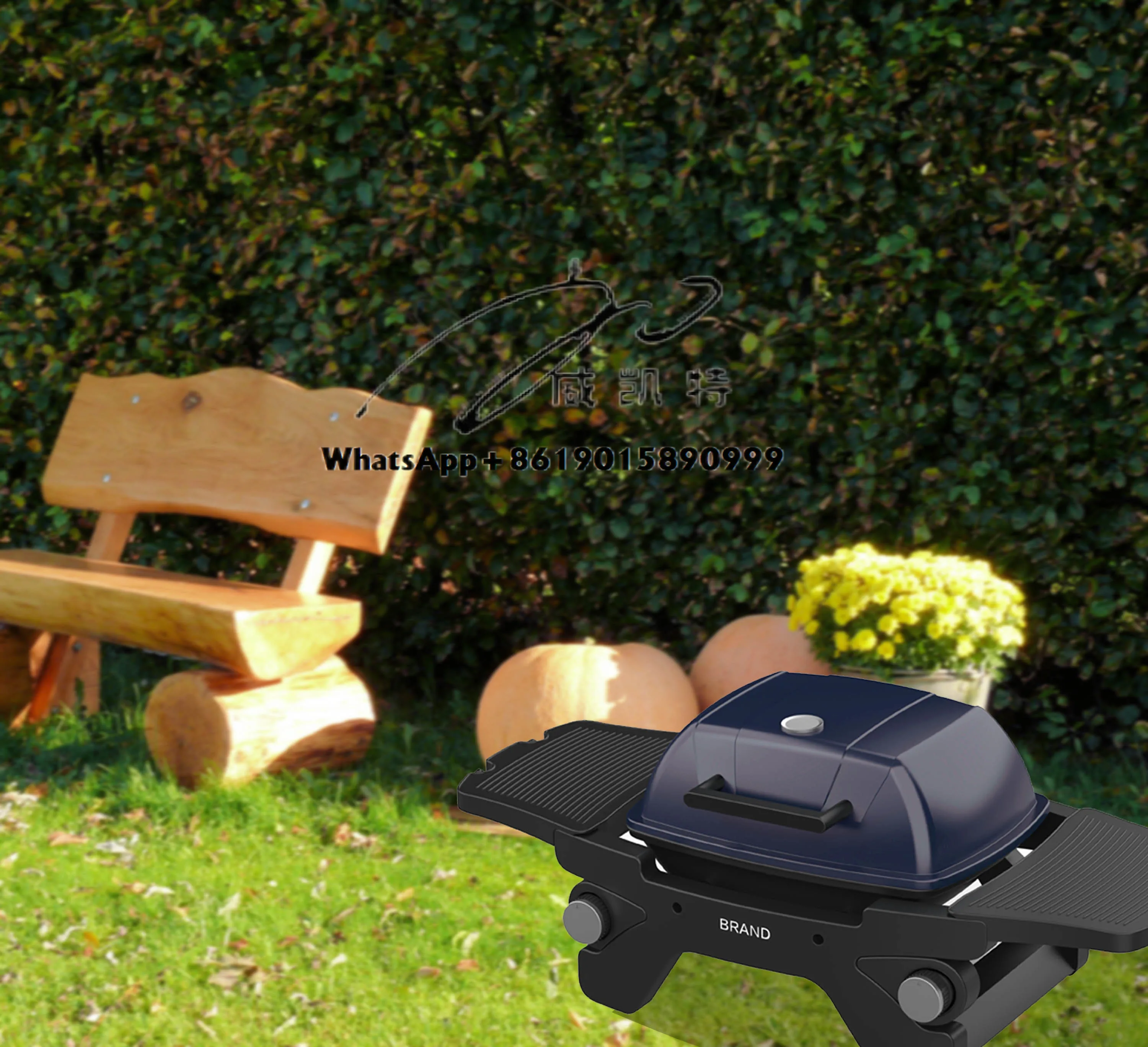 

Portable 2-Burner BBQ Grill High Power Adjustable Outdoor Camping Barbecue Durable Metal Iron Construction Propane Gas Folding