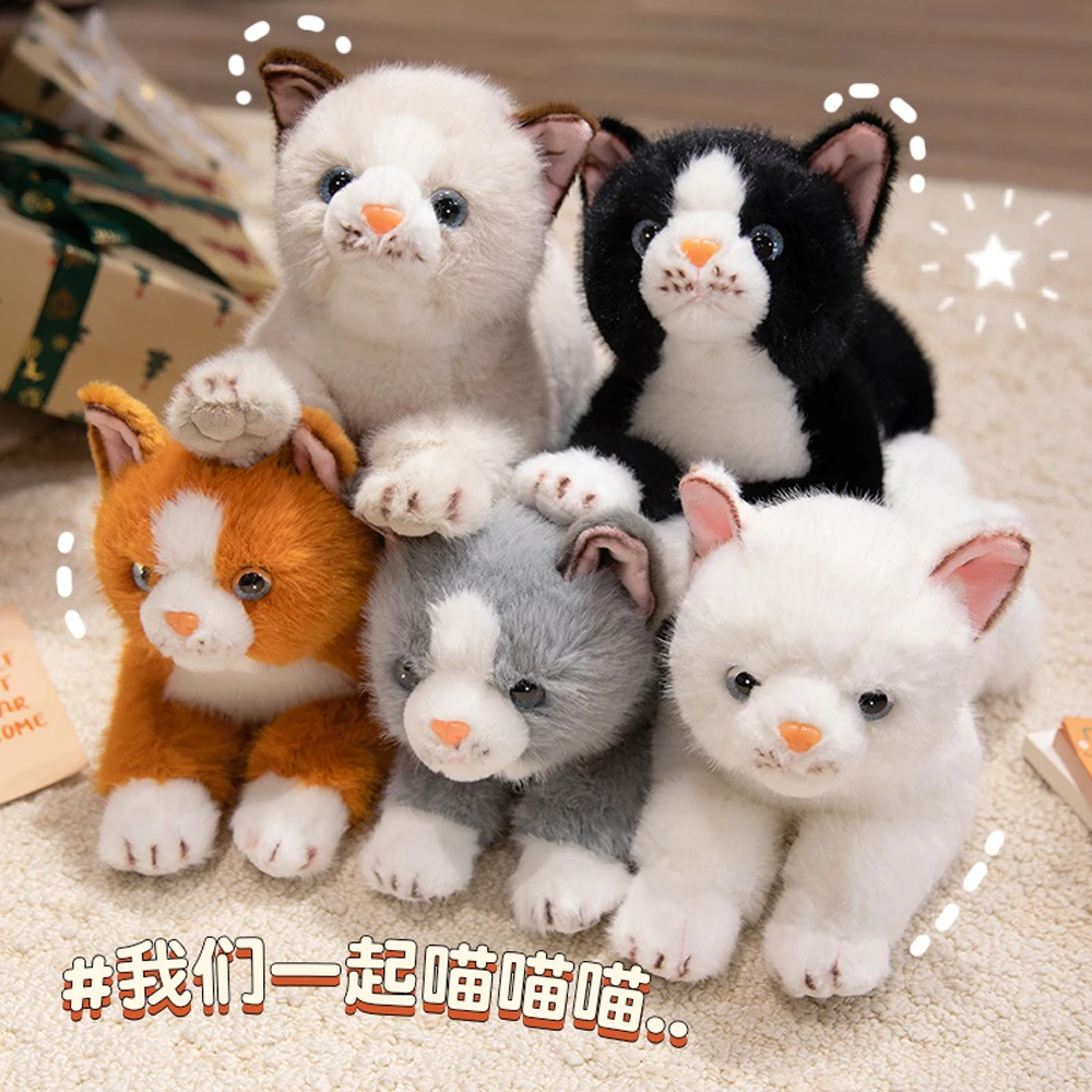 35 سنتيمتر رقيق البرتقال القط محشوة مزرعة الحيوان عناق الأسود كيتي القط ألعاب من القطيفة دسم القط دمى لينة عناق بلوشي يعرض