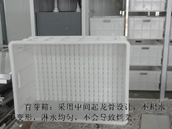 Commercial Mung Bean Sprout Sprouter Making Machine Bean Sprout New Technology