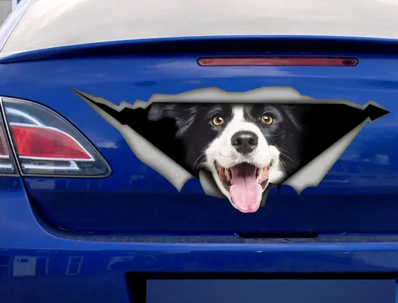 Border Collie sticker, car decal, Vinyl decal, Pet sticker, Dog decal, Border Collie car decal