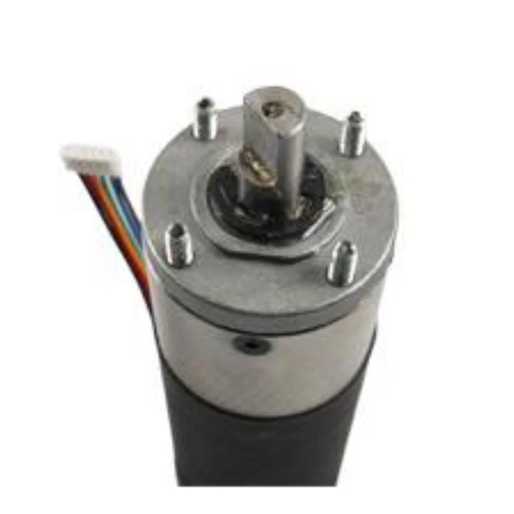 

Schwintek Motor RV Motor Compatible Parts Direct Replacement Easy Installation For RV Usage As Shown Motor Replacement