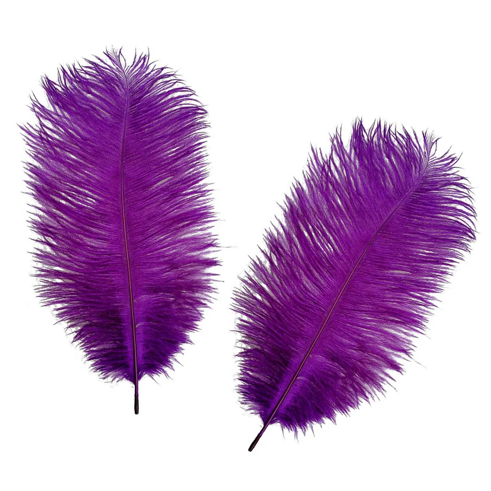 

10Pcs Natural Processed White Ostrich for Wedding Party Centerpieces Home Decoration Crafts Ostrich