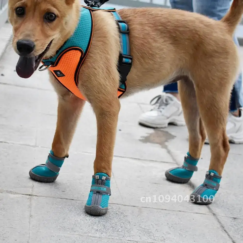 

Pet Dog Sneakers Fashionable Dogs Mesh Sneakers and Small Pretty medium-sized Shoes Dogs dogs