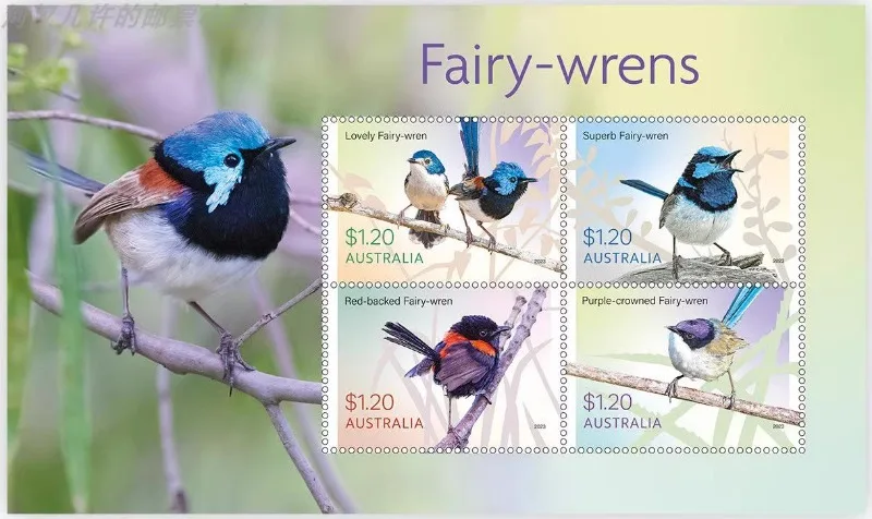 

Aus, 2023, Bird Stamp, Fairy Wren, Real Original, MNH