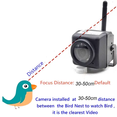 8 best sales पक्षी कैमरा - №7