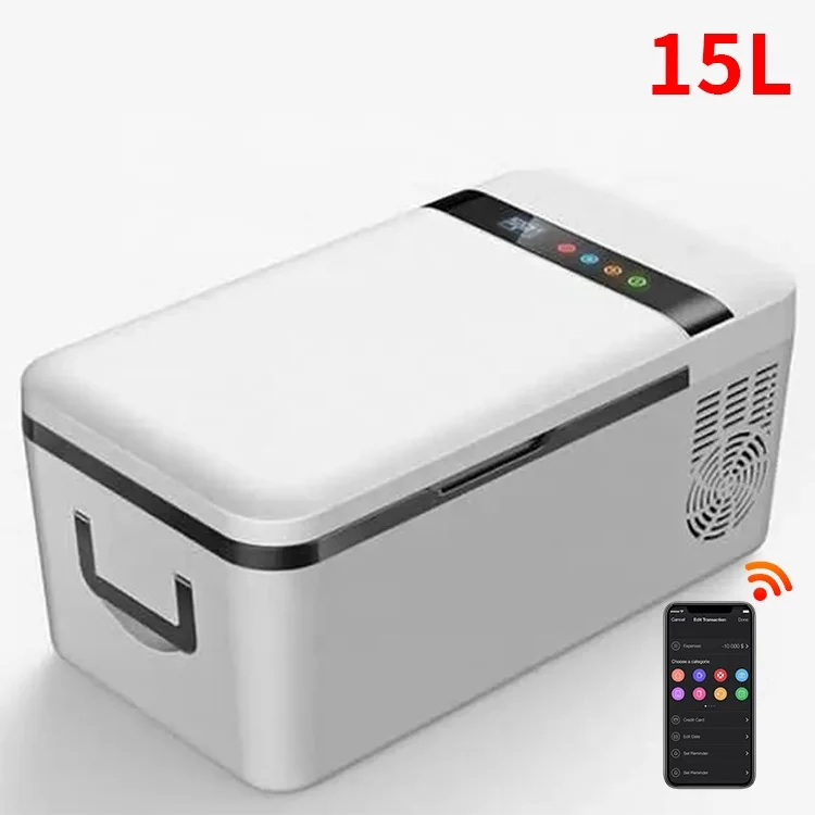 Hot Selling Compressor Portable Car Refrigerator Mini Camping Fridge 12V 24V LED Display App Control For RV Marine Camper SUV