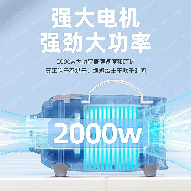

Pet hair dryer for dogs, hair dryer for cats, silent high-power hair blowing artifact, cat bath, blow drying, drying.