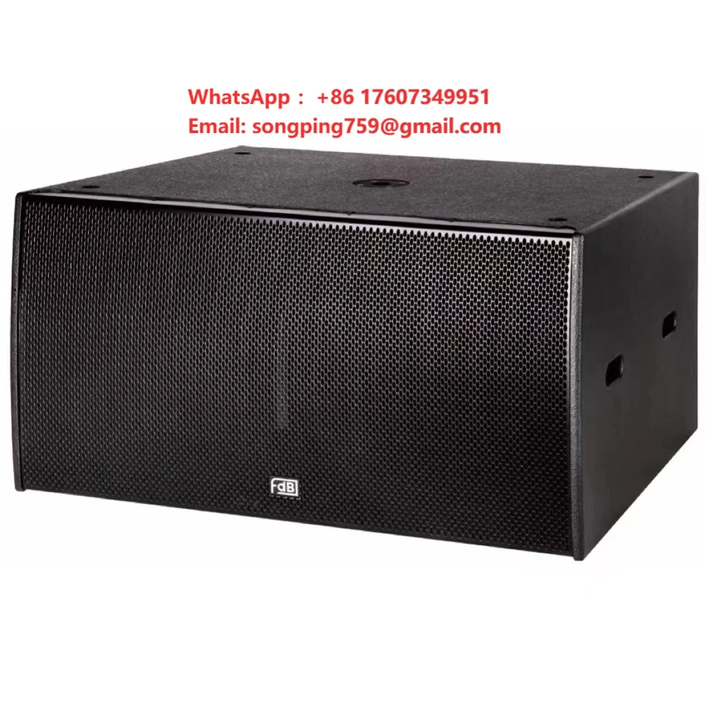 Dual 18 Professional Subwoofer Speaker Box