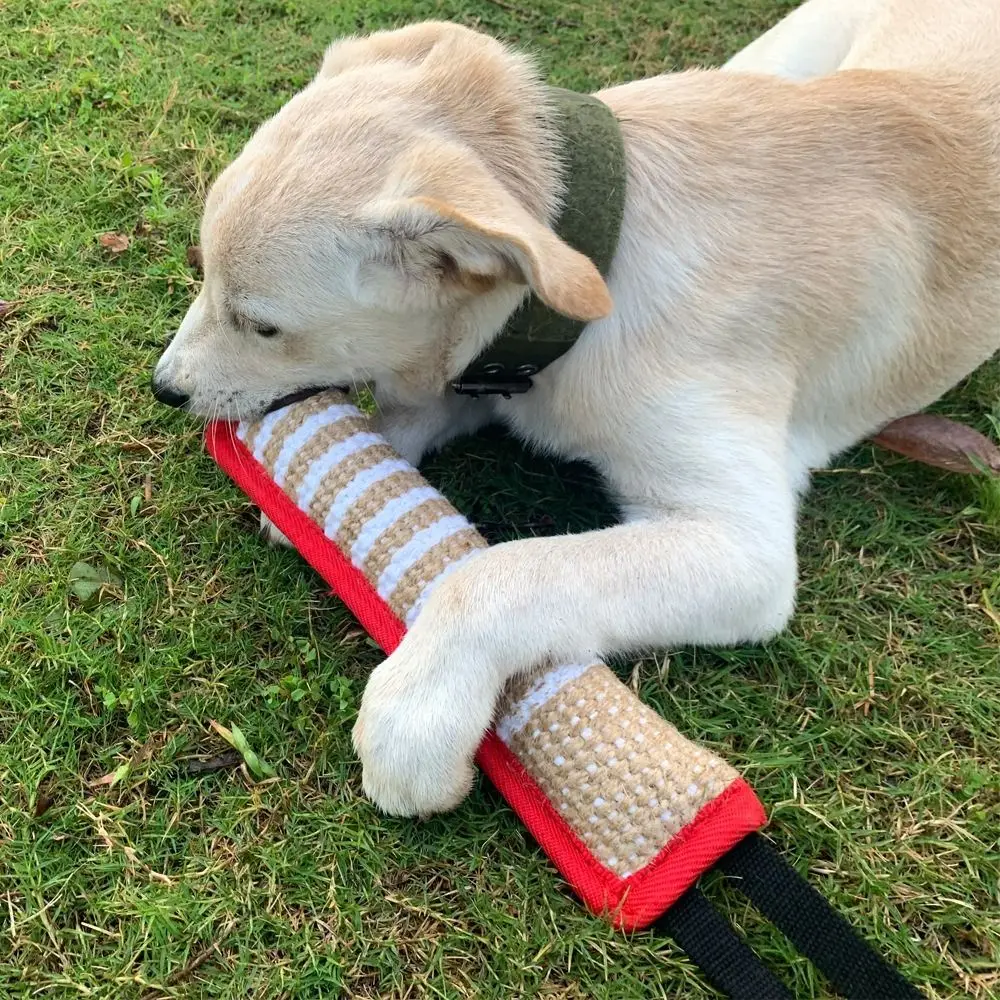 

Pet Accessories Bite-resistant Dog Bite Pillow Interactive Rope Handles Pet Chew Sticks Durable Jute Pull Toy for Cats and Dogs