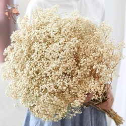 Ramo de flores secas para el aliento del bebé, 60g, flores secas naturales, Gypsophila, decoración de boda para el Día de San Valentín, mesa para el hogar, decoración navideña