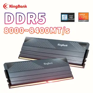 Kingbank ddr5-AliExpress