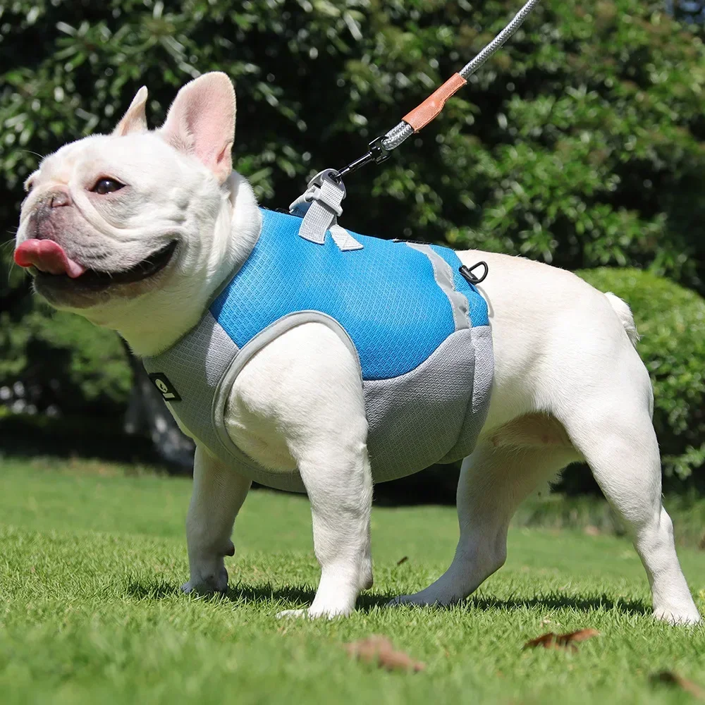 Cross-border new pet cool clothes tractable vest