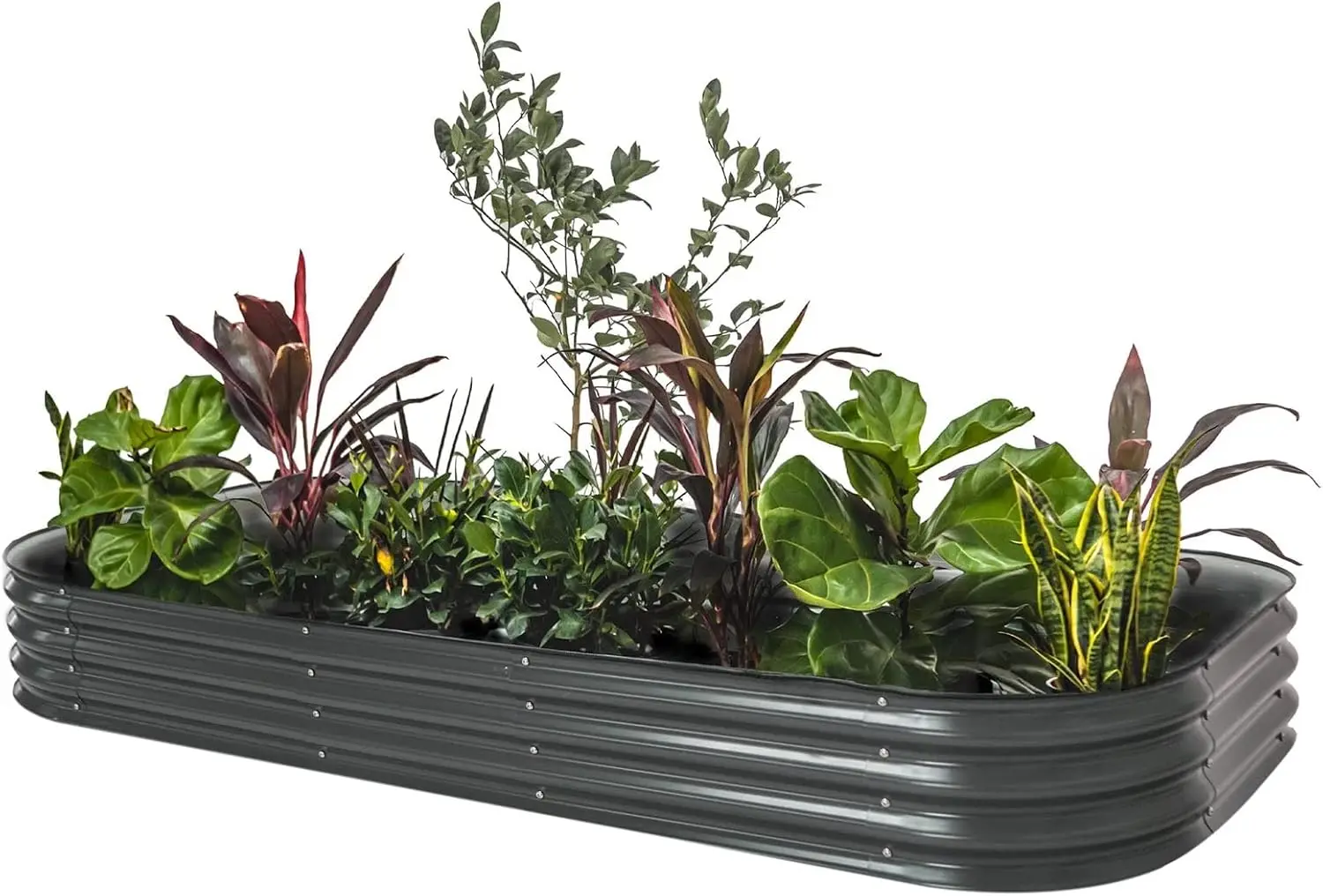 Raised Garden Bed Kit, 17