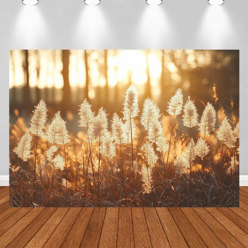 

LS Warm Brown Photography Background Reed Grass Sunset Decor Adult Portrait Photo Backdrop Studio