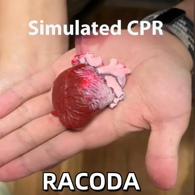 

1 Piece DIY Decoration Simulated Human Heart Novelty Decompression Toy Fake TPR Body Part Trick Prop Halloween