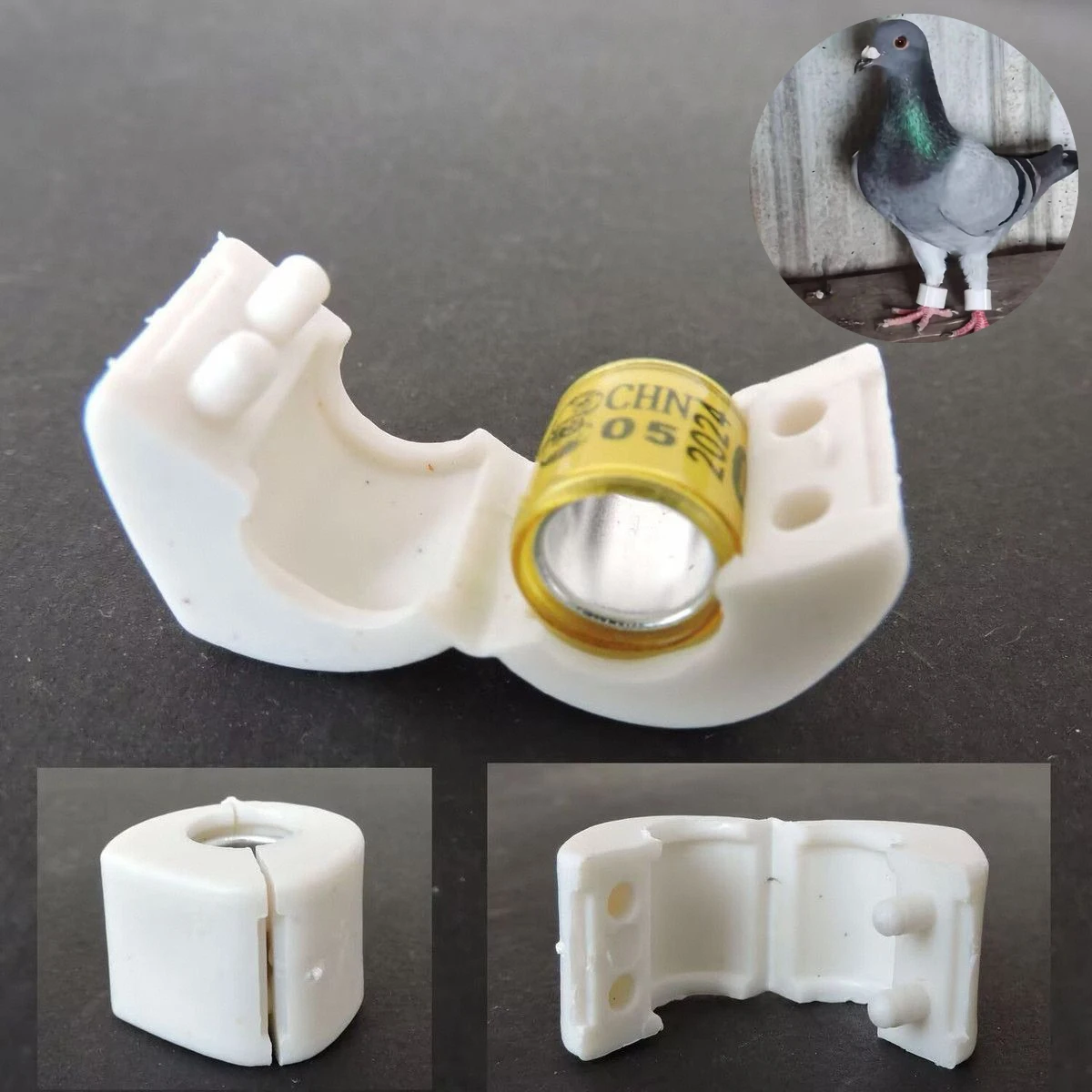 

10Pcs Pigeons Bird Foot Rings 8mm Identification Foot Rings for Quails Pigeons Bird Appliances