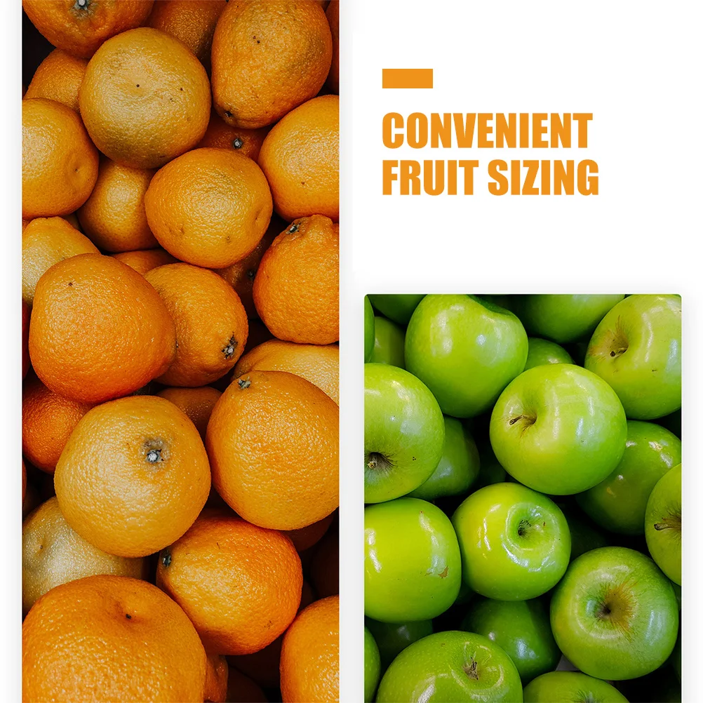 2Pcs Citrus Sizing …
