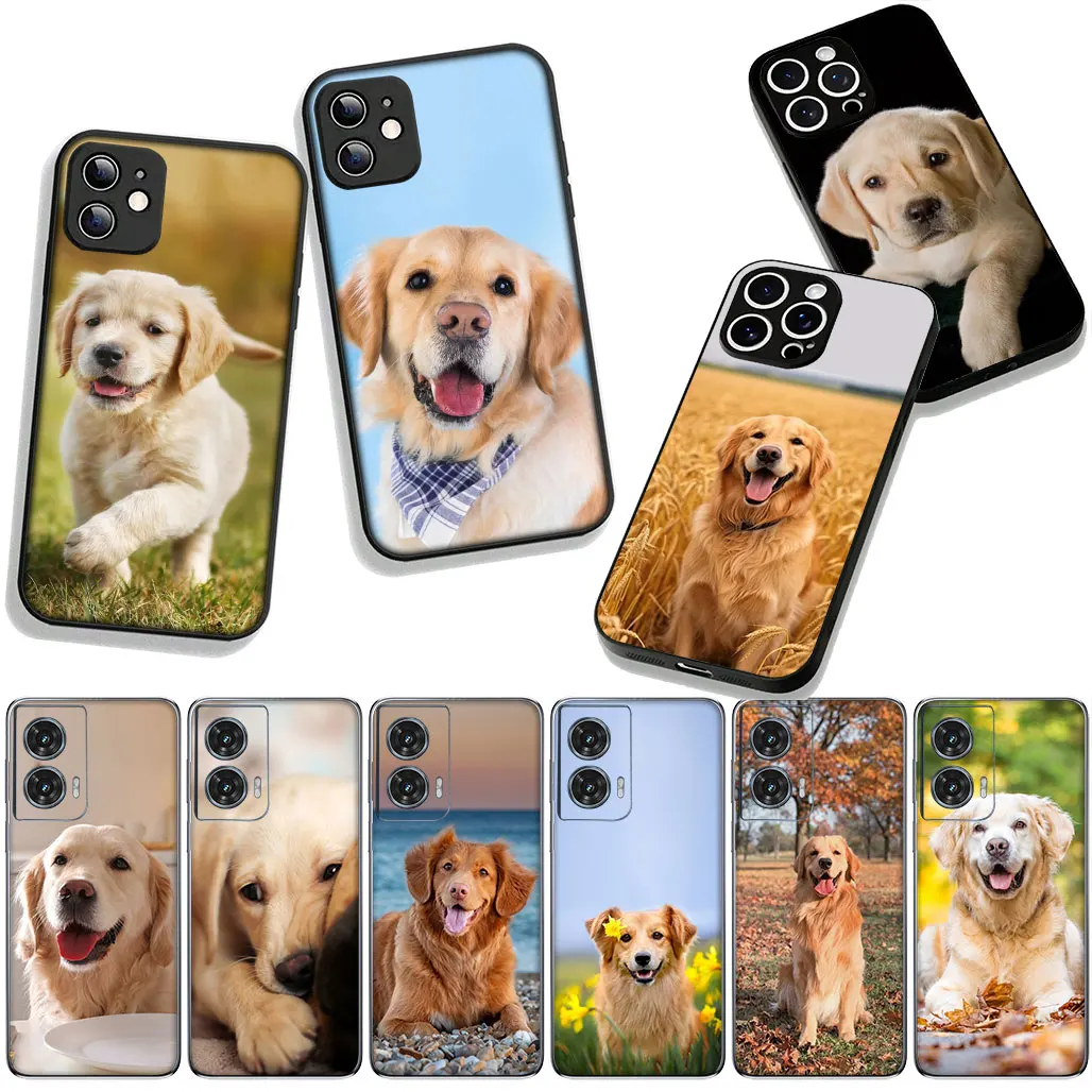 Чехол для телефона с собакой «Золотистый ретривер» для Apple iPhone 17 16 11 Pro XS Max SE2 XR 6 7 8 Plus 16E SE 2020 Air Soft Cover Чехол для телефона с собакой «Золотистый ретривер» для Apple iPhone 17 16 11 Pro XS Max SE2 XR 6 7 8 Plus 16E SE 2020 Air Soft Cover