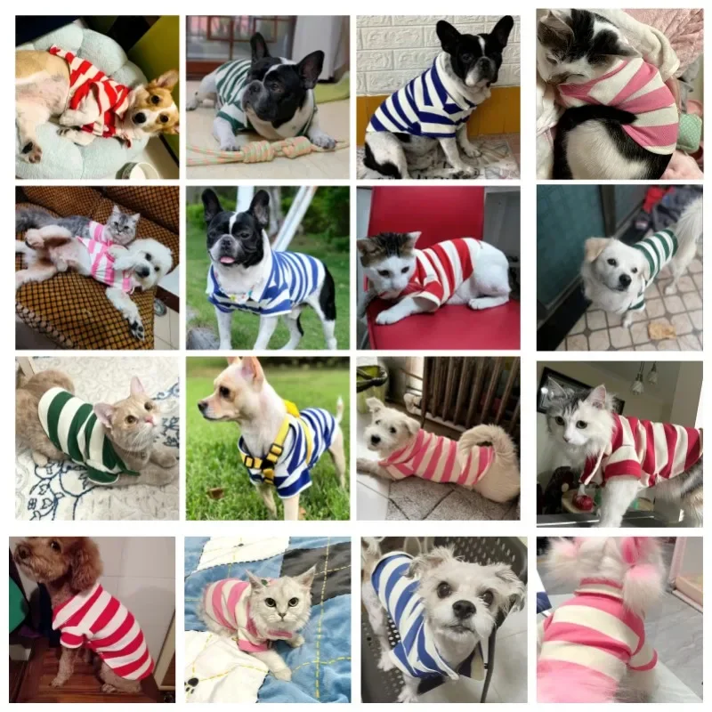 Hundepolohemd, Hundekleidung, Sommer-Freizeitkleidung für kleine und große Hunde, Katzen-T-Shirt, Chihuahua-Mops-Kostüme, Yorkshire-Hemden – Detail 4