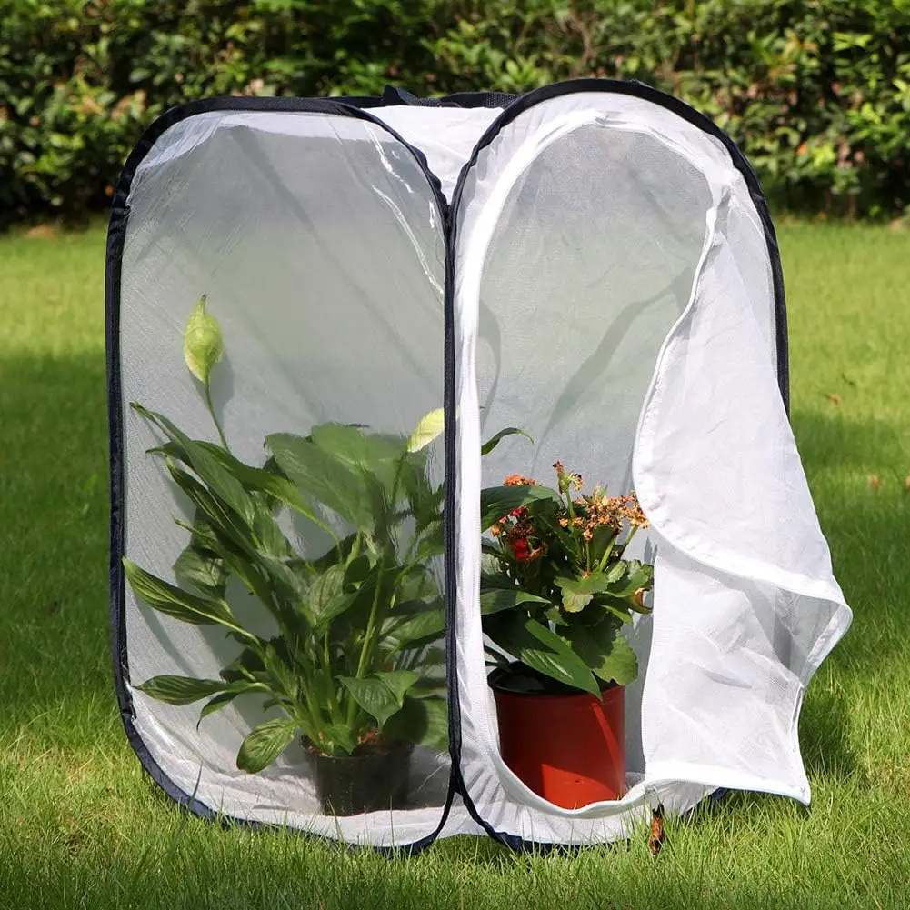 

Monarch Butterfly Habitat Cage,Insect Mesh Cage Pop-up,Collapsible Plant Seedling Cultivation Box,Outdoor mesh Plant Enclosure