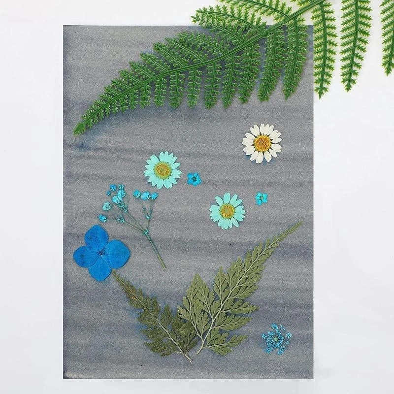 

Sun Print Paper Cyanotype Paper Solar Drawing Art Paper Nature Printing Sun Paper for Kids Adults Arts