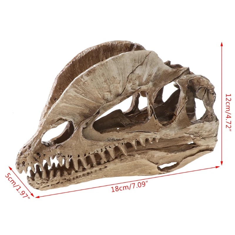 Dilophosaurus Dinosaurier Schädel Harz Handwerk Fossilen Skelett Lehre Modell Halloween Home Büro Dekoration