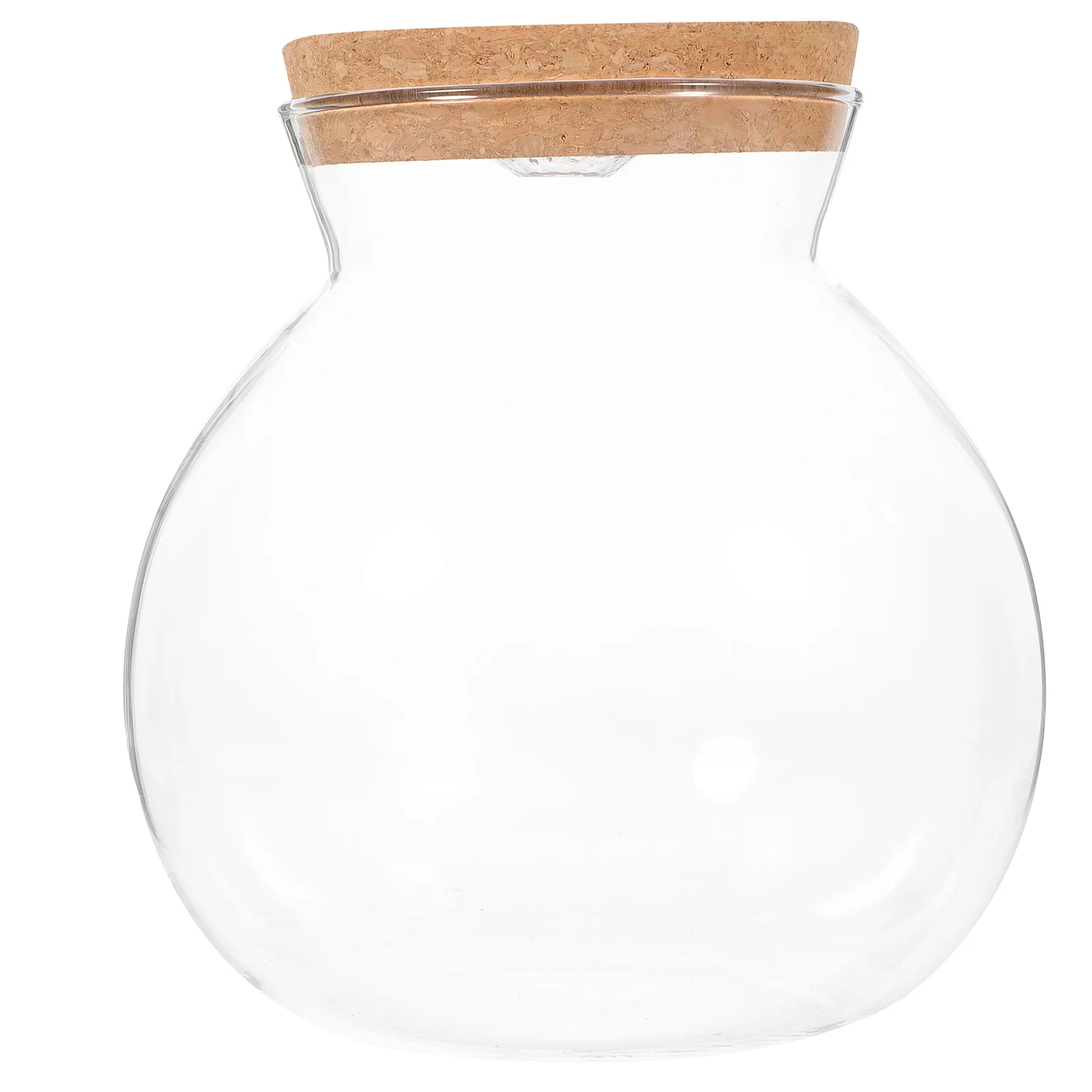 

LED Light Micro Landscape Bottle Made of Premium Borosilicate Glass DIY Landscape Crafts Bottle for Home Office Decoration